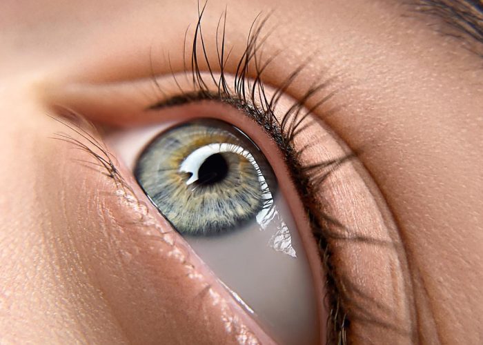 shutterstock_2519122185